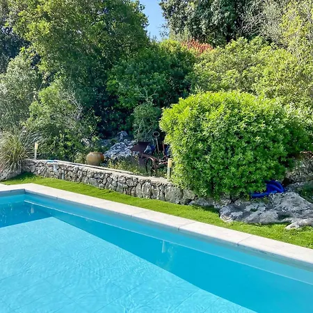 Guineu Villa Pollenca